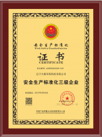 安全生產(chǎn)標(biāo)準(zhǔn)化